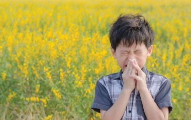 allergy-thumbnail-latest